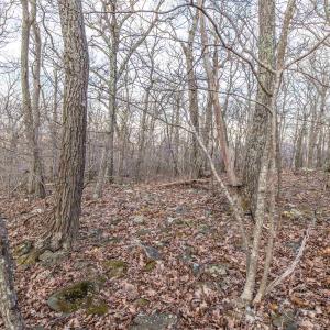 Photo #18 of BLACKROCK CIR, WINTERGREEN RESORT, VA 0.4 acres