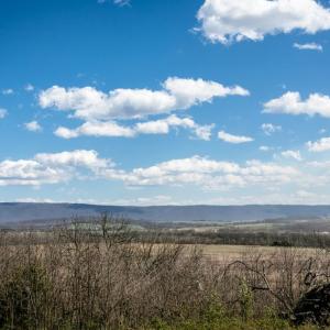 Photo #6 of Lot A CHURCH ST, TIMBERVILLE, VA 10.2 acres