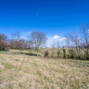 Photo #5 of Lot B HIGH ST, TIMBERVILLE, VA 0.8 acres