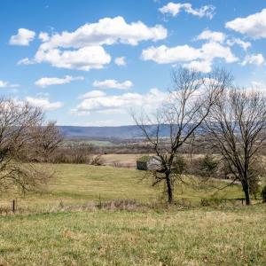 Photo #4 of Lot B HIGH ST, TIMBERVILLE, VA 0.8 acres