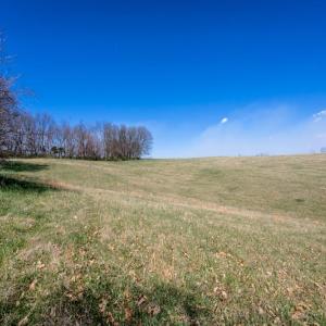 Photo #4 of Lot C HIGH ST, TIMBERVILLE, VA 0.8 acres