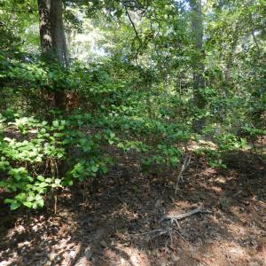 Photo #10 of Lot 13 WILSONIA SHORES DR, MACHIPONGO, VA 1.2 acres