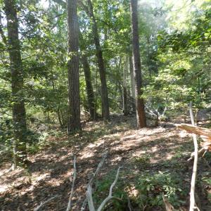 Photo #11 of Lot 13 WILSONIA SHORES DR, MACHIPONGO, VA 1.2 acres