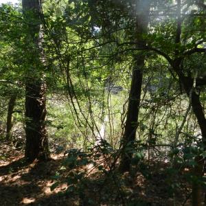 Photo #6 of Lot 13 WILSONIA SHORES DR, MACHIPONGO, VA 1.2 acres