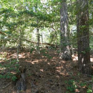 Photo #8 of Lot 13 WILSONIA SHORES DR, MACHIPONGO, VA 1.2 acres
