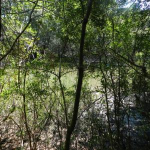 Photo #9 of Lot 13 WILSONIA SHORES DR, MACHIPONGO, VA 1.2 acres