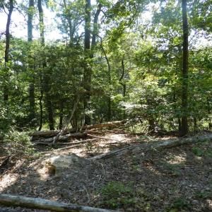Photo #5 of Lot 13 WILSONIA SHORES DR, MACHIPONGO, VA 1.2 acres