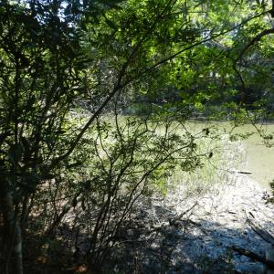 Photo #7 of Lot 13 WILSONIA SHORES DR, MACHIPONGO, VA 1.2 acres