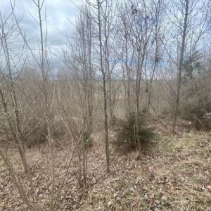 Photo #5 of LONG MEADOW RD, FISHERSVILLE, VA 0.3 acres