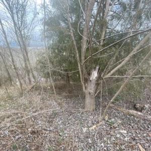 Photo #11 of LONG MEADOW RD, FISHERSVILLE, VA 0.3 acres
