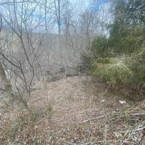 Photo #9 of LONG MEADOW RD, FISHERSVILLE, VA 0.3 acres