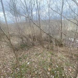 Photo #8 of LONG MEADOW RD, FISHERSVILLE, VA 0.3 acres