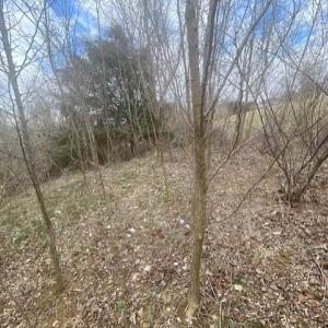 Photo #6 of LONG MEADOW RD, FISHERSVILLE, VA 0.3 acres