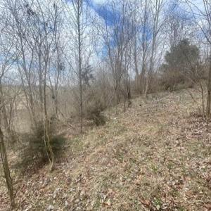 Photo #4 of LONG MEADOW RD, FISHERSVILLE, VA 0.3 acres