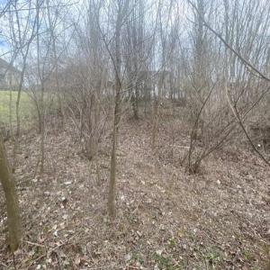 Photo #1 of LONG MEADOW RD, FISHERSVILLE, VA 0.3 acres
