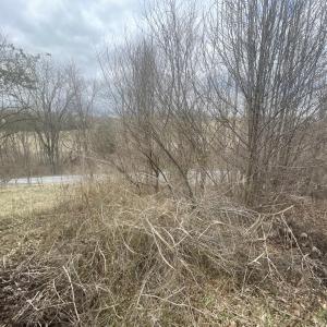 Photo #2 of LONG MEADOW RD, FISHERSVILLE, VA 0.3 acres