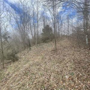 Photo #3 of LONG MEADOW RD, FISHERSVILLE, VA 0.3 acres