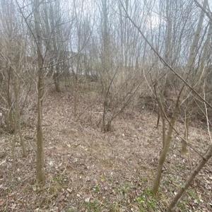 Photo #10 of LONG MEADOW RD, FISHERSVILLE, VA 0.3 acres