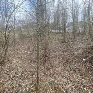 Photo #7 of LONG MEADOW RD, FISHERSVILLE, VA 0.3 acres