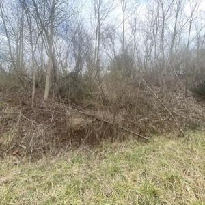 Photo #12 of LONG MEADOW RD, FISHERSVILLE, VA 0.3 acres