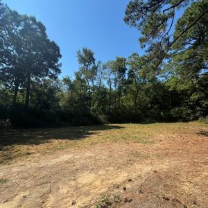 Photo #6 of 4172 WEST DR, CAPE CHARLES, VA 0.7 acres