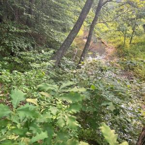 Photo #4 of KANGAROO CT, MINERAL, VA 2.2 acres