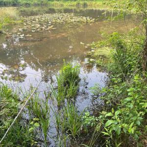 Photo #1 of KANGAROO CT, MINERAL, VA 2.2 acres