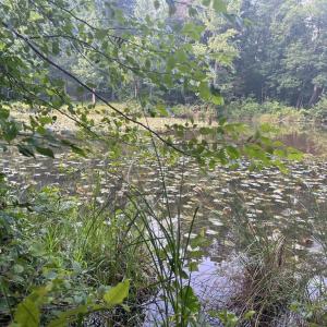 Photo #2 of KANGAROO CT, MINERAL, VA 2.2 acres