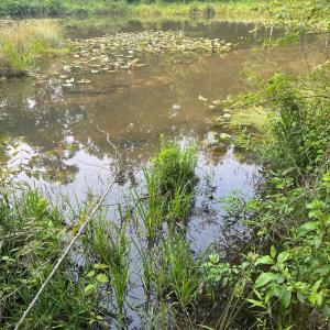 Photo #3 of KANGAROO CT, MINERAL, VA 2.2 acres