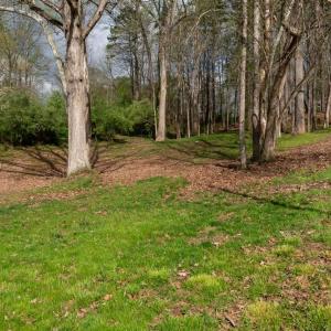 Photo #10 of TBD LAKESIDE DR, CHARLOTTESVILLE, VA 0.8 acres