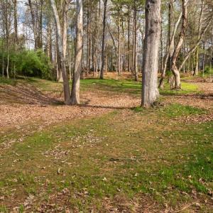 Photo #9 of TBD LAKESIDE DR, CHARLOTTESVILLE, VA 0.8 acres