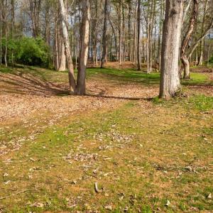 Photo #8 of TBD LAKESIDE DR, CHARLOTTESVILLE, VA 0.8 acres