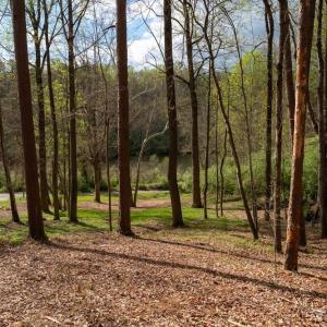 Photo #7 of TBD LAKESIDE DR, CHARLOTTESVILLE, VA 0.8 acres
