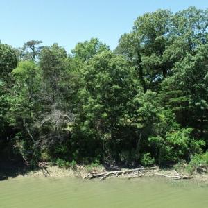 Photo #15 of 25 CREEKSIDE LN, CAPE CHARLES, VA