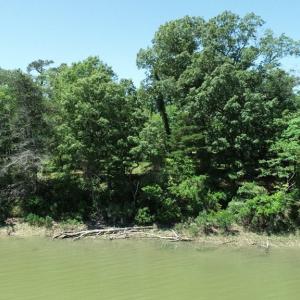 Photo #16 of 25 CREEKSIDE LN, CAPE CHARLES, VA