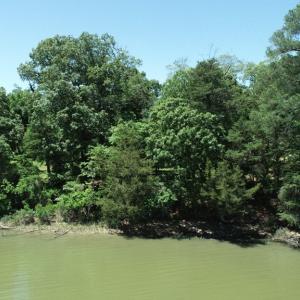 Photo #17 of 25 CREEKSIDE LN, CAPE CHARLES, VA