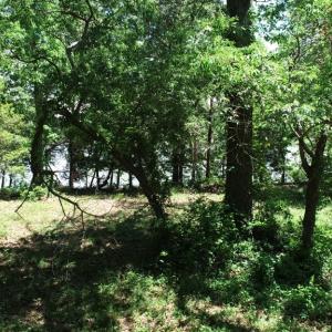 Photo #21 of 25 CREEKSIDE LN, CAPE CHARLES, VA