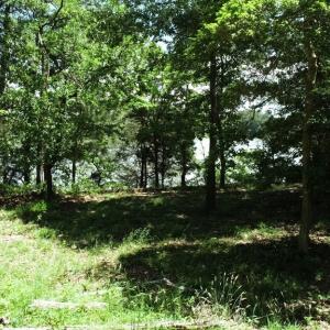 Photo #22 of 25 CREEKSIDE LN, CAPE CHARLES, VA