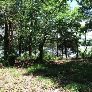 Photo #23 of 25 CREEKSIDE LN, CAPE CHARLES, VA