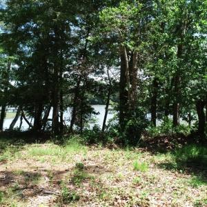 Photo #24 of 25 CREEKSIDE LN, CAPE CHARLES, VA