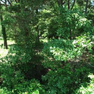 Photo #31 of 25 CREEKSIDE LN, CAPE CHARLES, VA