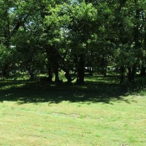 Photo #7 of 25 CREEKSIDE LN, CAPE CHARLES, VA