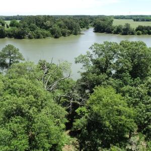 Photo #8 of 25 CREEKSIDE LN, CAPE CHARLES, VA