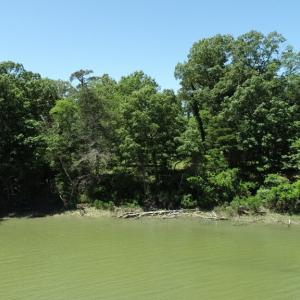 Photo #9 of 25 CREEKSIDE LN, CAPE CHARLES, VA