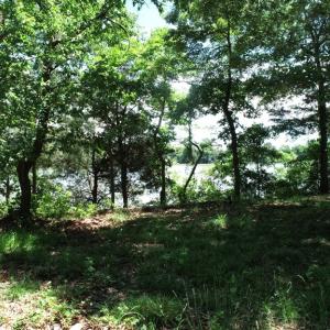 Photo #25 of 25 CREEKSIDE LN, CAPE CHARLES, VA