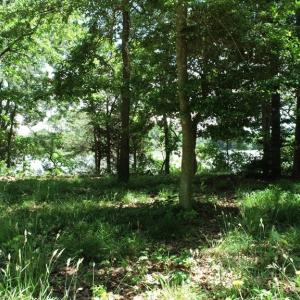 Photo #26 of 25 CREEKSIDE LN, CAPE CHARLES, VA