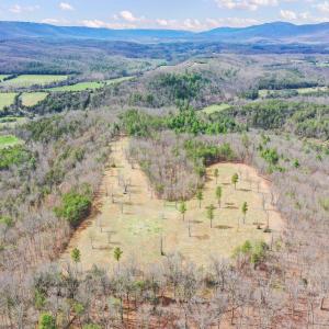 Photo #3 of 0 STAR TANNERY RD, STAR TANNERY, VA 23.1 acres