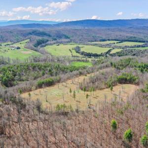 Photo #8 of 0 STAR TANNERY RD, STAR TANNERY, VA 23.1 acres