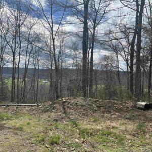Photo #25 of 0 STAR TANNERY RD, STAR TANNERY, VA 23.1 acres