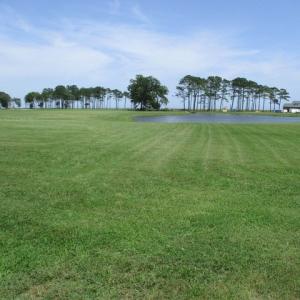 Photo #5 of 23 OCEAN VIEW WAY, PARKSLEY, VA 1.1 acres